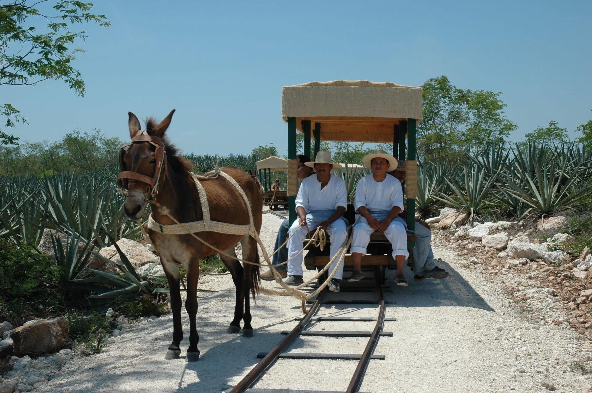 מלון Tecoh Hacienda Viva Sotuta De Peon מראה חיצוני תמונה